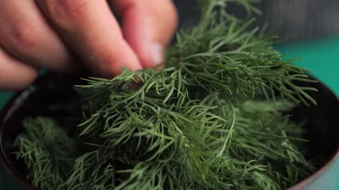 Fresh dill is carefully cut into small pieces and placed on a plate. Stock Footage 158241760