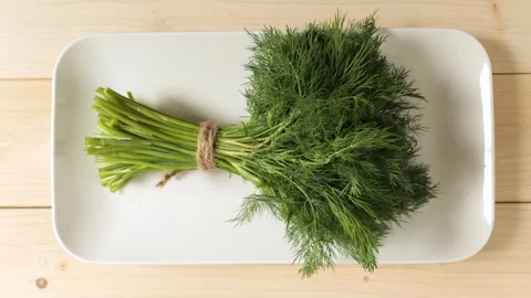 Fresh dill herb bunch on a white plate Stock Footage 337885730