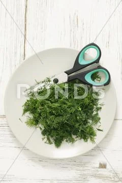Fresh dill with a pair of herb scissors Stock Photos