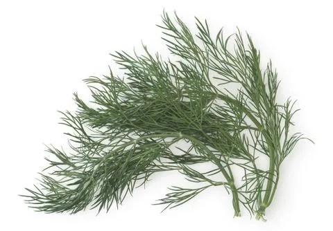 Fresh dill Stock Photos