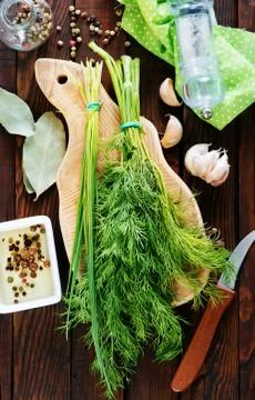Fresh dill Stock Photos