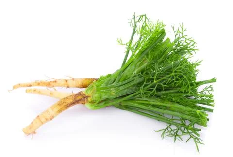 Fresh dill on white background 写真素材