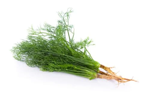 Fresh dill on white background Fotos Stock
