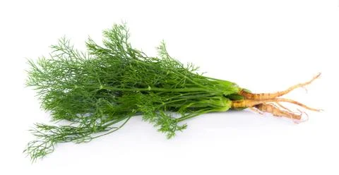 Fresh dill on white background 写真素材
