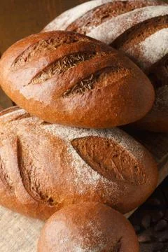 Fresh dough in flour with rye bread Stock Photos