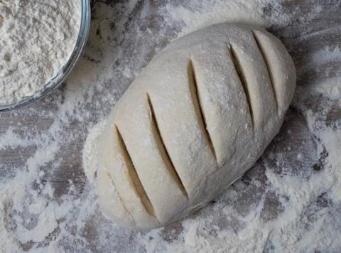 Fresh dough ready for baking bread. Stock Photos