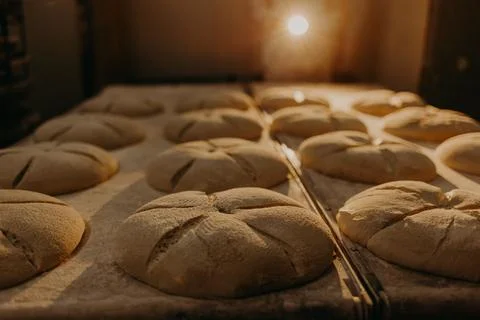 Fresh dough ready for baking Stock Photos