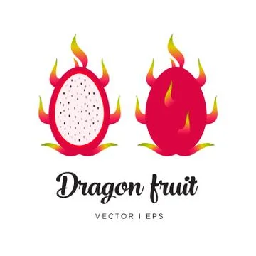Fresh dragon fruit, cut sliced, seeds vector editable illustration. Flat simp Stock Illustration
