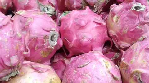 Fresh Dragon Fruit On Display Shelf In Supermarket Stock Footage 340126557