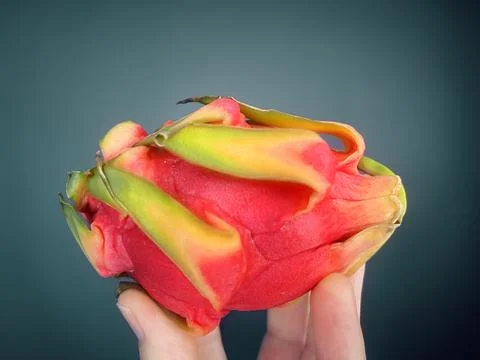 Fresh Dragon Fruit In The Hand Stock-Fotos