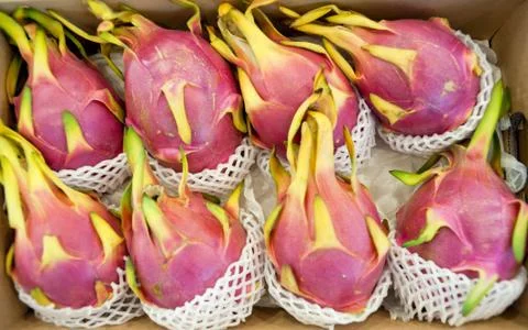 Fresh dragon fruit Stock Photos