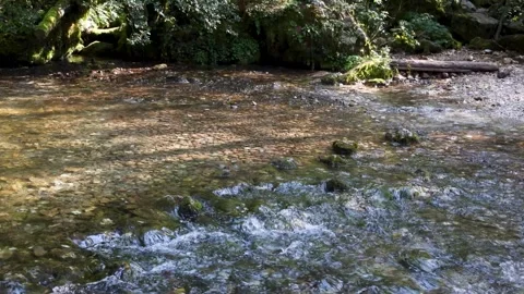 Fresh Drinkable Water Flowing from the Spring at Kamniška Bistrica Stock Footage 283376227