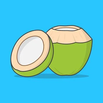 Fresh Drinking Coconut And Half Coconut Vector Icon Illustration. Green Coc.. Stock Illustration