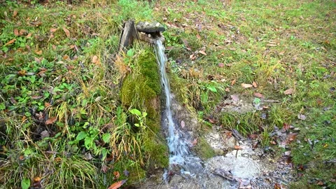 Fresh drinking water flows through hollow wooden trunk shaped like a crocodile Stock Footage 142882718