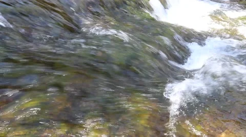 Fresh drinking water source closeup Video stock 40023990