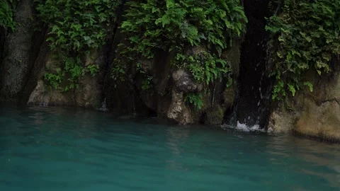 Fresh drops fall over brown rocky cliffs at green bushes Stock Footage 143343458