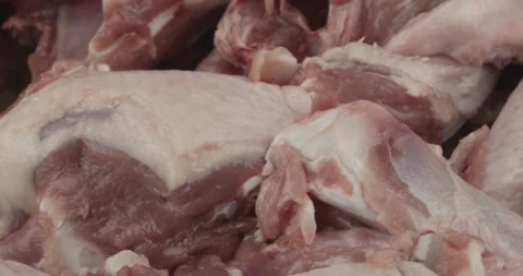 Fresh duck carcasses for preparing a duck stock Stock Footage 155348423