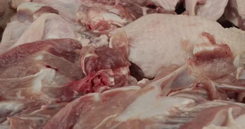 Fresh duck carcasses for preparing a duck stock Stock Footage
