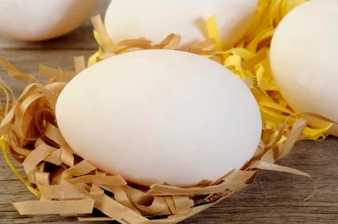 Fresh duck eggs Stock Photos