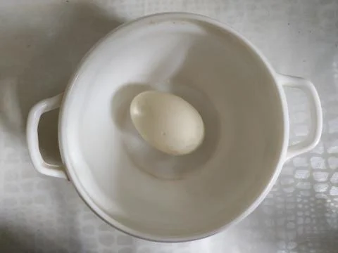 Fresh duck eggs Stock Photos