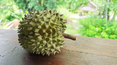 A fresh durian fruit on a wooden table. Stock Footage 340710104