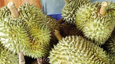 Fresh durian fruits with sharp thorns in the market. Stock Footage 340712219