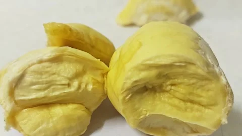 Fresh durian pulp pod close up. Видео 339338581