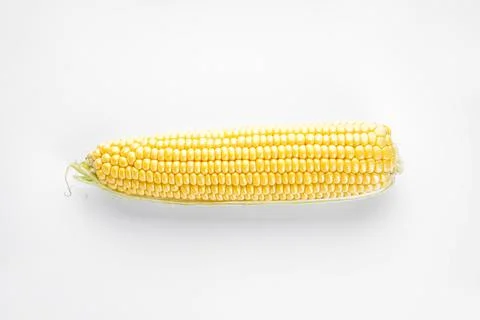 Fresh ear of corn on a white background, flat lay. Stock Photos