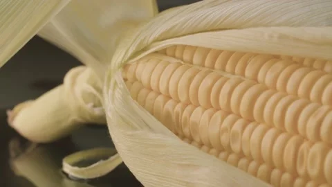 A fresh ear of ripe corn Stock Footage 140321023