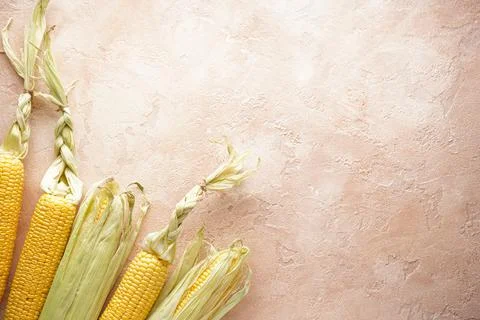 Fresh ears of corn on a beige background, place for text. Flat lay. Stock Photos