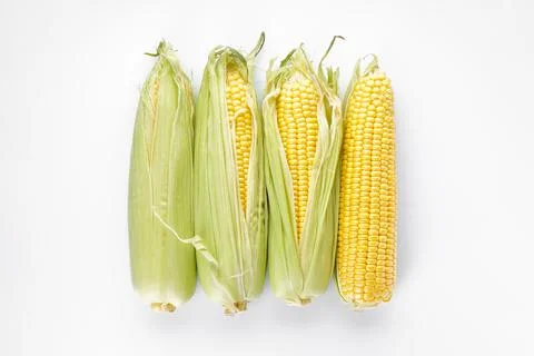 Fresh ears of corn on a white background, top view. Stock Photos