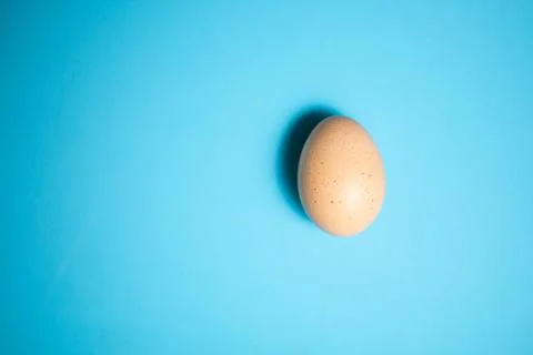 Fresh Easter Egg on a Blue Background. Happy Easter Stock Photos