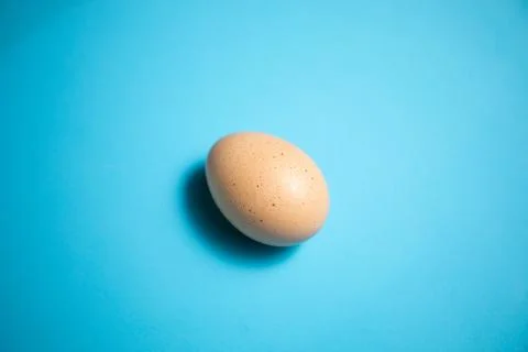 Fresh Easter Egg on a Blue Background. Happy Easter Stock Photos