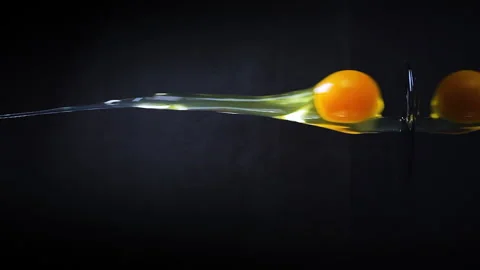 Fresh egg falling in slow motion on dark background Stock Footage 220580682