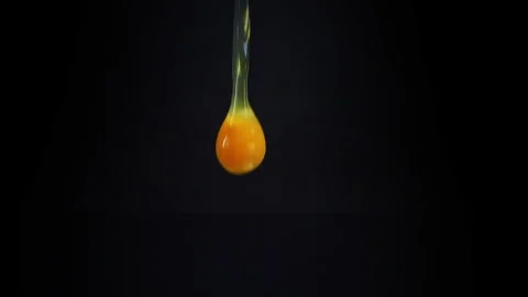 Fresh egg falling in slow motion on dark background Stock Footage 220860701
