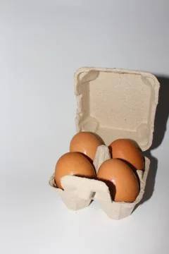 Fresh Egg Full in Egg tray Close-up in White background. Stock Photos