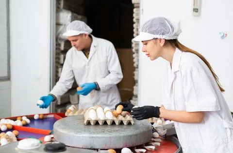 Fresh egg grading and sorting machine, grade egg by weight and size Stock Photos
