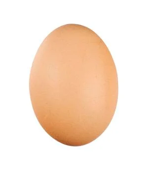 Fresh egg Stock Photos