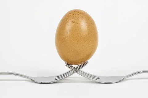 Fresh egg Foto stock