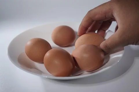 Fresh egg Foto stock