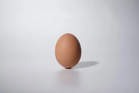 Fresh egg Stock Photos