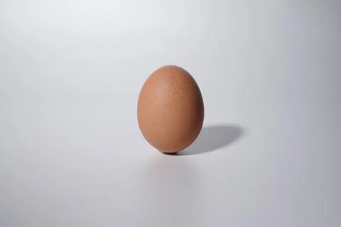 Fresh egg Foto stock