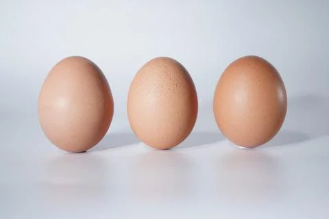 Fresh egg Foto stock
