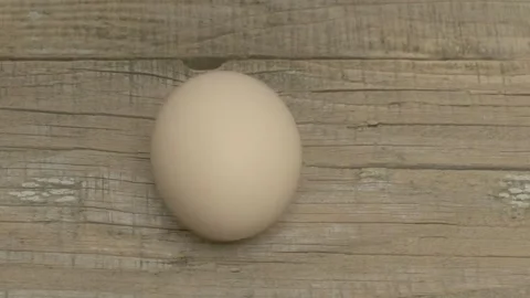 A Fresh Egg is Resting on a Rustic Wooden Surface, Highlighting Its Natural 動画素材 281636589