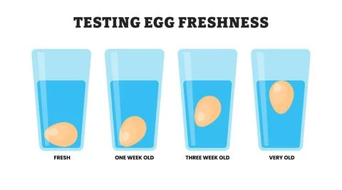 Fresh Egg Test at high protein healthy foods, educational medical poster de.. Stock Illustration