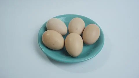 Fresh Egg on a White Background Stock-Fotos