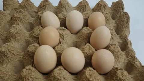 Fresh Egg on a White Background Stock-Fotos