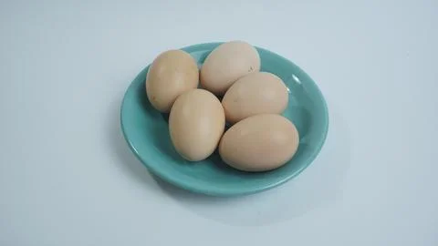 Fresh Egg on a White Background Stock Photos