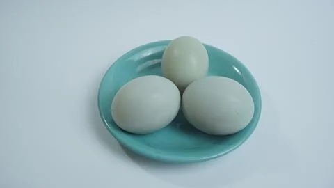 Fresh Egg on a White Background Stock Photos