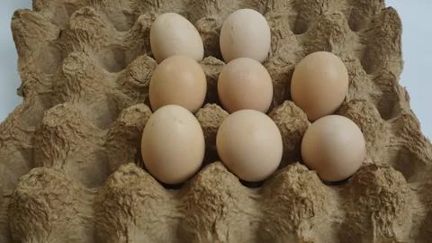 Fresh Egg on a White Background Stock Photos
